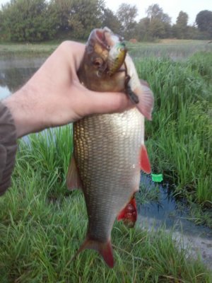 20160523_055240[1].jpg