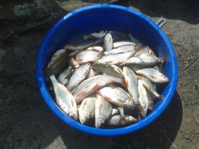 20160523_141034.jpg