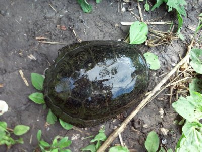 20160523_154908.jpg