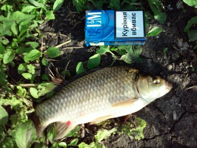 20160523_181742.jpg