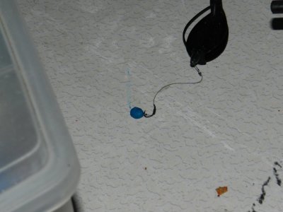 DSCN2536.JPG