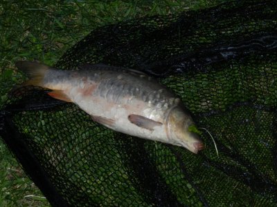 DSCN2524.JPG