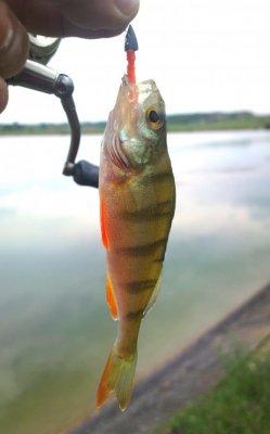 2016-05-25-3007_.jpg