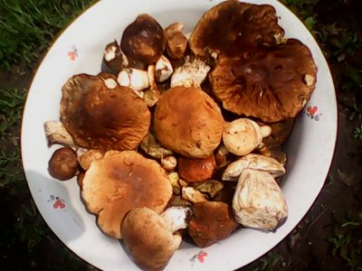 IMG0566A.jpg