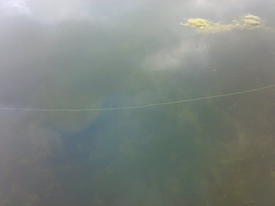 14052013168.jpg