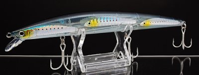 DAIWA - SHORE LINE SHINER SL.jpg