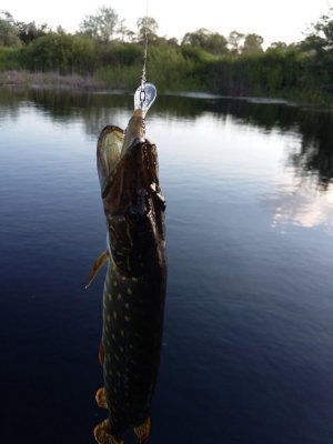 20160521_185256.jpg