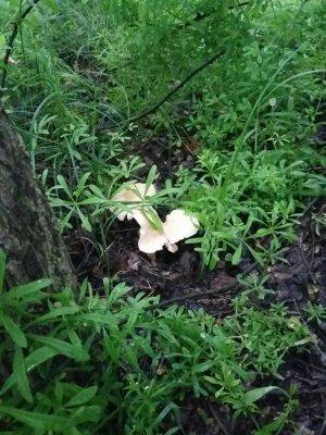 20160521_060100.jpg