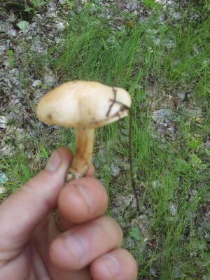 20160521_131205.jpg