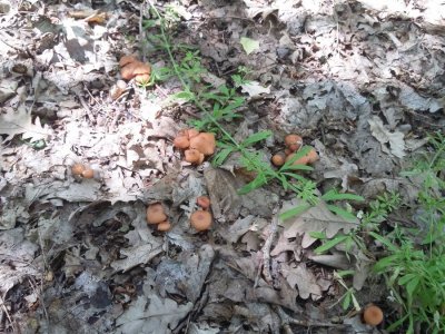 20160521_131351.jpg