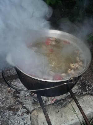 20160521_215047.jpg