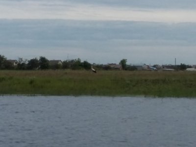 20160521_094133.jpg