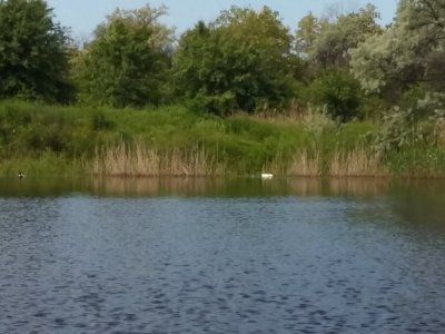 20160521_093652.jpg