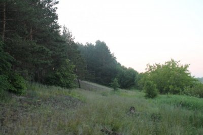 IMG_4006.JPG