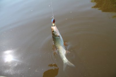IMG_4044.JPG