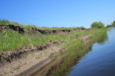 IMG_4056.JPG