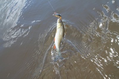 IMG_4071.JPG