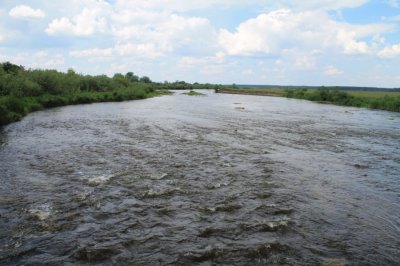 IMG_4093.JPG