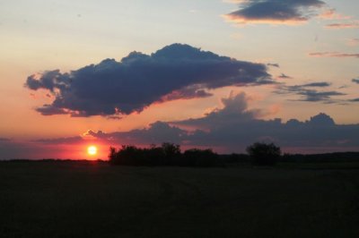 IMG_4118.JPG