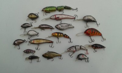 20160531_084821.jpg