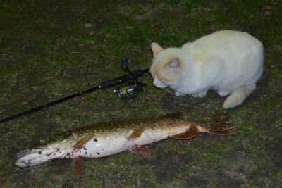 DSC_1054.JPG