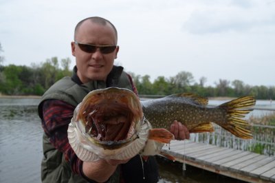 DSC_1412.JPG