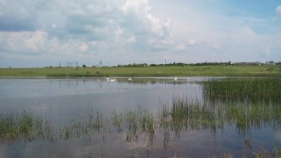 20160528_151335_800.jpg