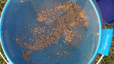 20160528_185559_800.jpg