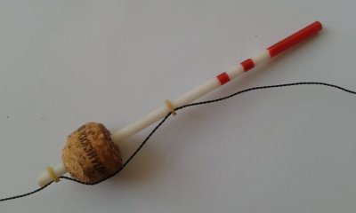 20160603_125819.jpg