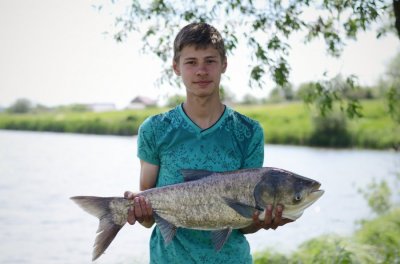 отчет 3.jpg
