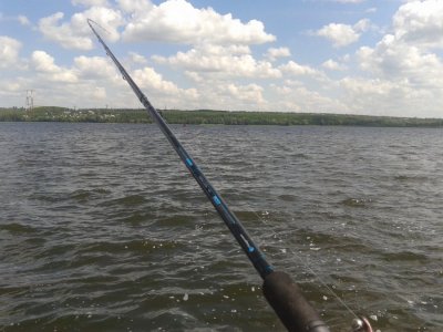 20160603_110221.jpg