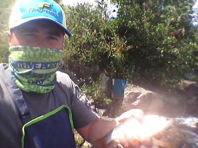 20160603_131142.jpg
