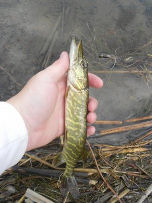 DSCN2837.JPG