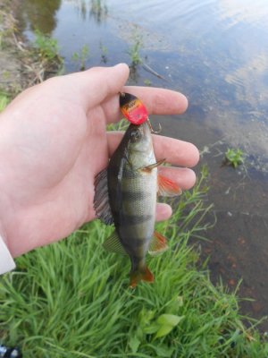 DSCN2840.JPG
