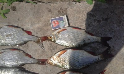 20160605_133111.jpg