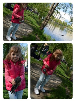 collage-1465136458951.jpg