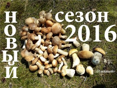 20160603_120606ютуб.jpg