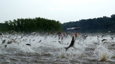 0_844f7_63ac7490_orig.jpg