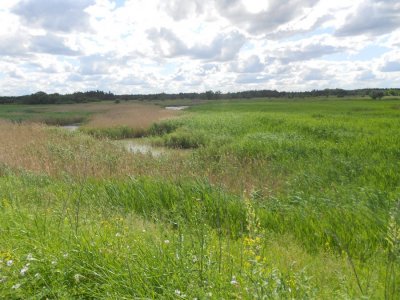 DSCN2851.JPG