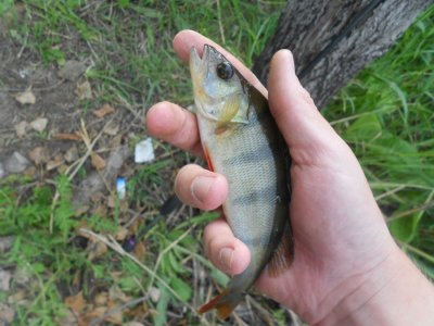 DSCN2878.JPG