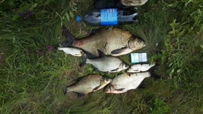 20160608_113650.jpg