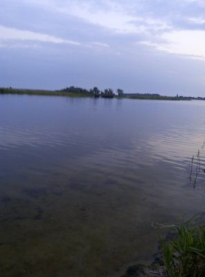 P60604-043724.jpg