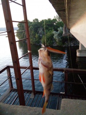 20160611045118.jpg
