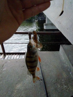 20160611094436.jpg