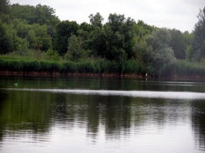 P6123062.JPG