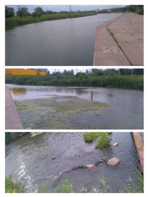 collage-1465738463265.jpg