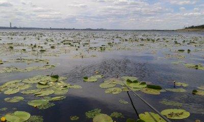 20160612_135711.jpg