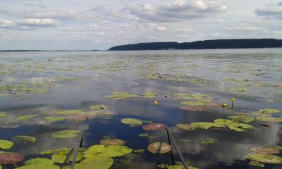 20160612_170203.jpg