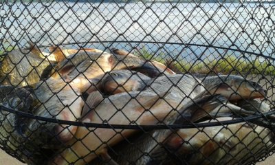 20160612_181140.jpg