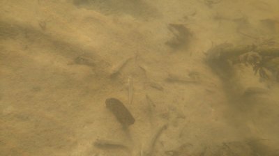 DSC_1253.JPG